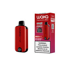 Waka 15000 puffs 5 in a Box. Kiwi Dragon Fruit Berry