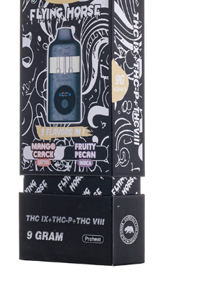 Flying Horse 9gm Black edition Disposable 5 In A Box