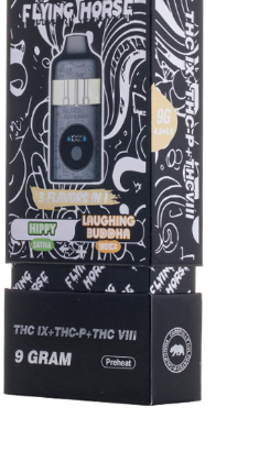Flying Horse 9gm Black edition Disposable 5 In A Box